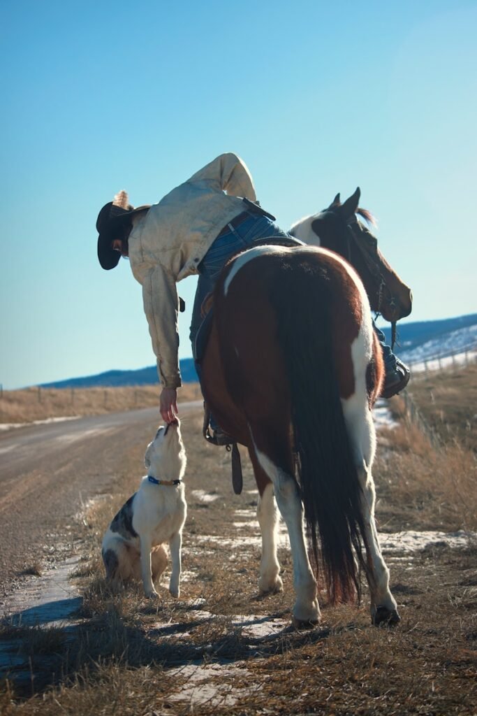 a man riding on the back of a brown and white horse next to a dog